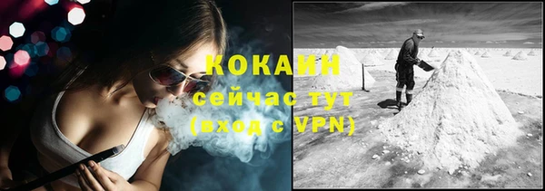 шишки Верхний Тагил