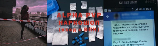 шишки Верхний Тагил