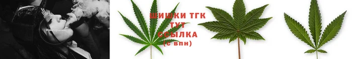 шишки Верхний Тагил