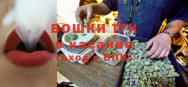 шишки Верхний Тагил