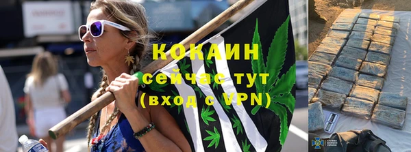 шишки Верхний Тагил