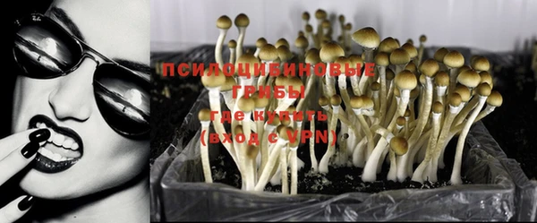 мескалин Строитель