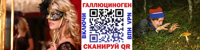 Псилоцибиновые грибы Psilocybe  Луховицы 